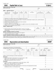 2006 Capital Gain or Loss/Depreciation and Amortization