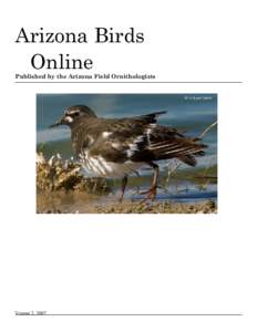 Zoology / Fauna of Asia / Mallard / Mottled Duck / Mexican Duck / American Black Duck / Spot-billed Duck / Waterfowl hunting / Green-winged Teal / Anas / Ducks / Ornithology