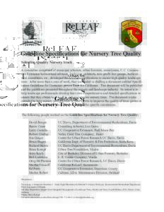 Guideline Specifications for Nursery Tree Quality Selecting Quality Nursery Stock A committee comprised of municipal arborists, urban foresters, nurserymen, U.C. Cooperative Extension horticultural advisors, landscape ar