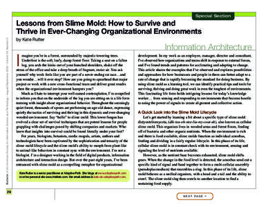 Special Section  Bulletin of the American Society for Information Science and Technology – August/September 2009 – Volume 35, Number 6 Lessons from Slime Mold: How to Survive and Thrive in Ever-Changing Organizationa