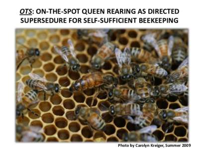 OTS: ON-THE-SPOT QUEEN REARING AS DIRECTED SUPERSEDURE FOR SELF-SUFFICIENT BEEKEEPING Photo by Carolyn Kreiger, Summer 2009  DR. C. C. MILLER: “Give them larvae of all ages from which to select, and they