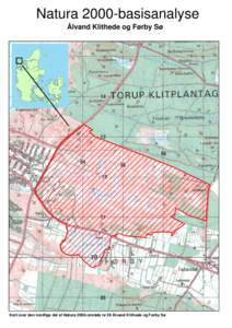 Natura 2000-basisanalyse Ålvand Klithede og Førby Sø