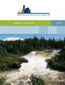 ANNUAL REPORT  2014 2 | AMM ANNUAL REPORT