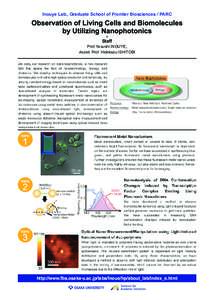 Inouye Lab., Graduate School of Frontier Biosciences / PARC  Staff Prof. Yasushi INOUYE, Assist. Prof. Hidekazu ISHITOBI