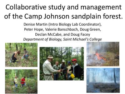 Collaborative study and management of the Camp Johnson sandplain forest. Denise Martin (Intro Biology Lab Coordinator), Peter Hope, Valerie Banschbach, Doug Green, Declan McCabe, and Doug Facey Department of Biology, Sai