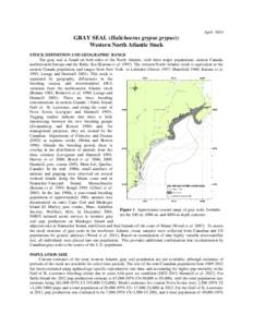 April[removed]GRAY SEAL (Halichoerus grypus grypus): Western North Atlantic Stock STOCK DEFINITION AND GEOGRAPHIC RANGE The gray seal is found on both sides of the North Atlantic, with three major populations: eastern Cana
