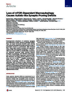 Neuron  Article Loss of mTOR-Dependent Macroautophagy Causes Autistic-like Synaptic Pruning Deficits Guomei Tang,1 Kathryn Gudsnuk,2 Sheng-Han Kuo,1 Marisa L. Cotrina,3,7 Gorazd Rosoklija,4,8 Alexander Sosunov,3