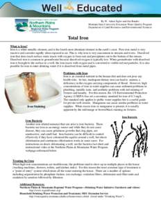 By W. Adam Sigler and Jim Bauder Montana State University Extension Water Quality Program Department of Land Resources and Environmental Sciences Total Iron What is Iron?