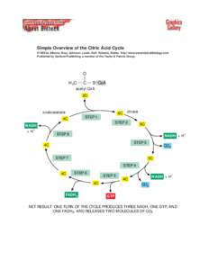 Simple Overview of the Citric Acid Cycle ©1998 by Alberts, Bray, Johnson, Lewis, Raff, Roberts, Walter . http://www.essentialcellbiology.com Published by Garland Publishing, a member of the Taylor & Francis Group.  O