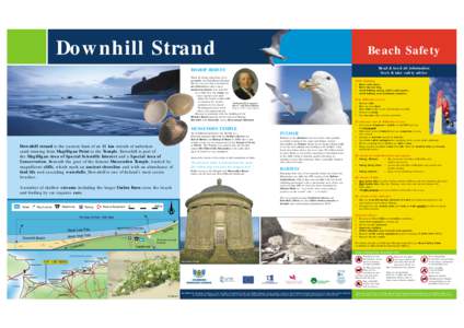 Downhill Strand  Beach Safety Read & heed all information Seek & take safety advice