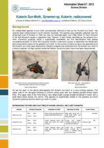 Information Sheet[removed]Science Division Kukerin Sun-Moth, Synemon sp. Kukerin, rediscovered by Andrew AE Williams[removed]removed] and Matthew R Williams, DEC Science Division