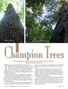 Photo by Charles LeCroy  Shagbark Hickory Southern Shagbark Hickory