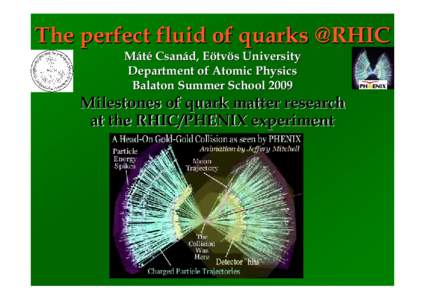 Quark matter / Brookhaven National Laboratory / Relativistic Heavy Ion Collider / Large Hadron Collider / STAR detector / LHCb / Large Electron–Positron Collider / Nuclear physics / William Allen Zajc / Physics / Particle physics / CERN