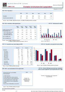 Dossier local - Commune - Neuville-sur-Brenne