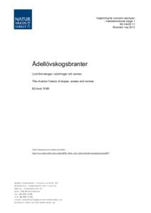 Vägledning skog - Ädellövskogsbranter