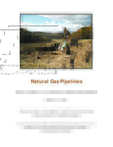 Microsoft Word - Natural Gas Pipelines - Excerpt Report