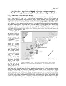 April[removed]COMMON BOTTLENOSE DOLPHIN (Tursiops truncatus truncatus) Northern Georgia/Southern South Carolina Estuarine System Stock  STOCK DEFINITION AND GEOGRAPHIC RANGE