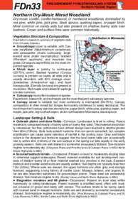 Nearctic / Ecoregions of Canada / Appalachian Mountains / Picea mariana / Larix laricina / Populus grandidentata / Diervilla lonicera / Cove / Aspen parkland / Biogeography / Flora of the United States / Flora