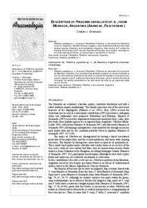 ARTÍCULO:  DESCRIPTION OF PIKELINIA USPALLATA SP. N., FROM