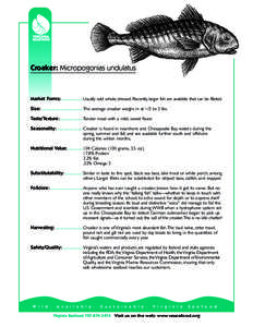 SEA Fact Sheet 2003-croaker