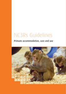 NC3Rs_primate_guideline_v2.qxp