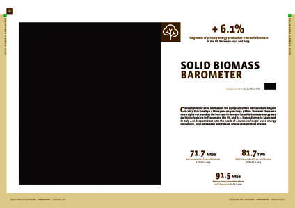 + 6.1%  Wood chip transport. The growth of primary energy production from solid biomass in the UE between 2012 and 2013