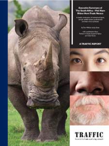 The South Africa – Viet Nam Rhino Horn Trade Nexus - Executive Summary (PDF, 750 KB)