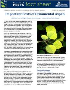 Published by Utah State University Extension and Utah Plant Pest Diagnostic Laboratory  IPMJanuary 2012 Important Pests of Ornamental Aspen