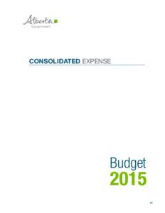 Budget 2015 Wordmark_Square_Colour_No Background