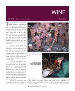 Ice wine / Fermentation / Riesling / Harvest / American wine / Hunt Country Vineyards / Winemaking / Wine / Oenology / Dessert wine