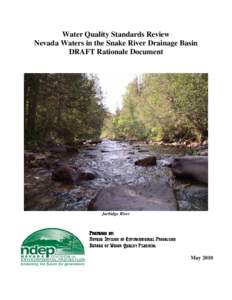 Salmon Falls Creek / Bruneau River / Snake River / Owyhee River / Jarbidge River / Jarbidge Mountains / Water quality / Elko County /  Nevada / Bruneau – Jarbidge Rivers Wilderness / Geography of the United States / Idaho / Wild and Scenic Rivers of the United States