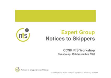 Expert Group Notices to Skippers CCNR RIS Workshop Strasbourg, 13th NovemberNotices to Skippers Expert Group