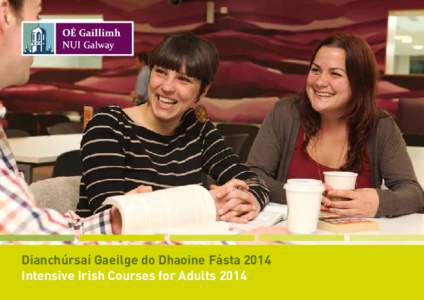 Dianchúrsaí Gaeilge do Dhaoine Fásta 2014 Intensive Irish Courses for Adults 2014 Cé muid féin?  Is Acadamh lán-Ghaeilge muid atá ag feidhmiú faoi choimirce