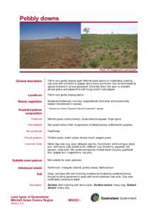 Pebbly downs  Photo: F5 (Vergemont) Land System   General description