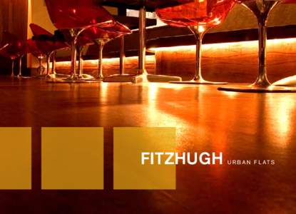BHF-002 Fitzburgh Urban Flats SP Illustration