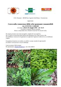 CSA i Fontanini – DESR Parco Agricolo Sud Milano - Fuorimercato organizzano Corso sulla conoscenza delle erbe spontanee commestibili con ANTONIO CORBARI 1a Lezione: sabato 26 maggioore 14,15