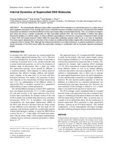 Internal Dynamics of Supercoiled DNA Molecules