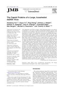 The Capsid Proteins of a Large, Icosahedral dsDNA Virus