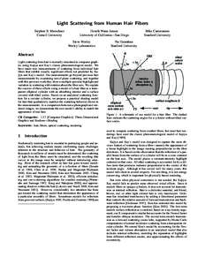 Light Scattering from Human Hair Fibers Stephen R. Marschner Cornell University Henrik Wann Jensen University of California—San Diego