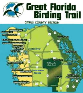 Florida state parks / Citrus County /  Florida / Great Florida Birding Trail / U.S. Route 19 in Florida / Withlacoochee River / Nature Coast / Crystal River Archaeological State Park / Newtown /  Connecticut / State wildlife trails / Geography of Florida / Florida / Birdwatching