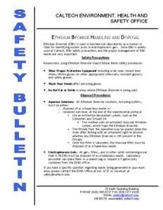 Ethidium Bromide Procedures