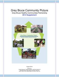 Grey Bruce Community Picture Grey Bruce Healthy Communities Partnership 2014 Supplement August 2014 Prepared by: