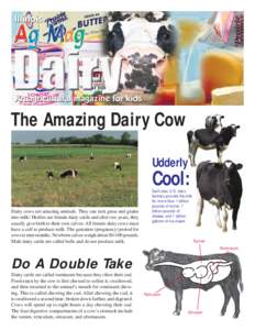 The Amazing Dairy Cow Udderly Cool: Dairy cows are amazing animals. They can turn grass and grains into milk! Heifers are female dairy cattle and after two years, they