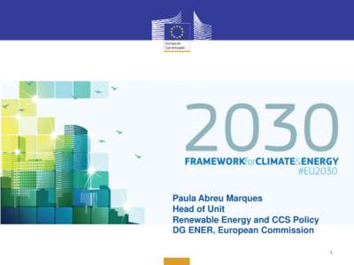 Paula Abreu Marques Head of Unit Renewable Energy and CCS Policy DG ENER, European Commission 1