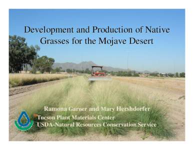 Development and Production of Native Grasses for the Mojave Desert Ramona Garner and Mary Hershdorfer Tucson Plant Materials Center USDA-Natural Resources Conservation Service