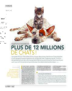 marché  Enquête Facco-TNS Sofres 2014 Plus de 12 millions de chats !