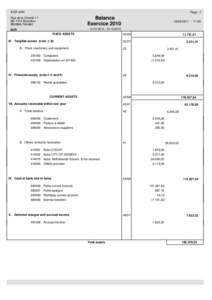 ILGA aisbl  Page : 1 Balance Exercice 2010