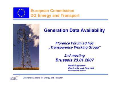 European Commission DG Energy and Transport Generation Data Availability Florence Forum ad hoc „Transparency Working Group“