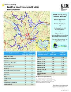 MARKET PROFILE  East Ohio Street Commercial District East Allegheny 2015 Business Summary (2 Minute Drive Time)