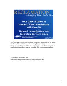 Four Case Studies of Numeric Flow Simulations with Flow-3D Hydraulic Investigations and Laboratory Services Group James Higgs, PE